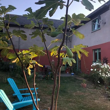 La Maison D Ici Et D Ailleurs Homestay